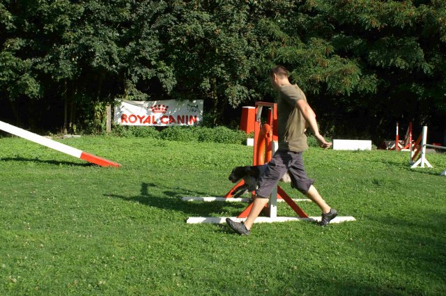 agility 2011-08
